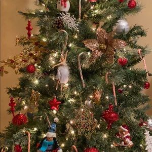 Meet your Posher, Chhayrachana